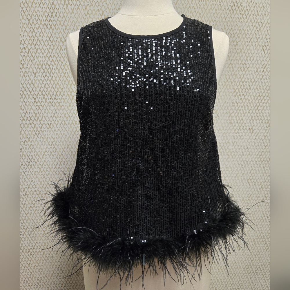 Take a shine sparkle top